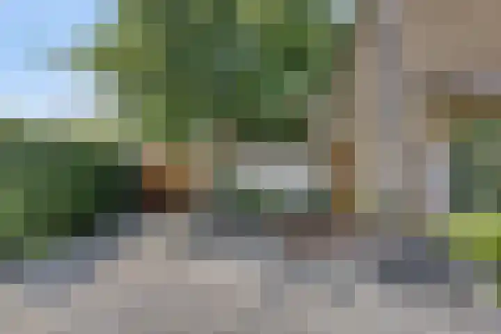 Joseph Bech-Nes 14 Bergen (NH) thumbnail 6