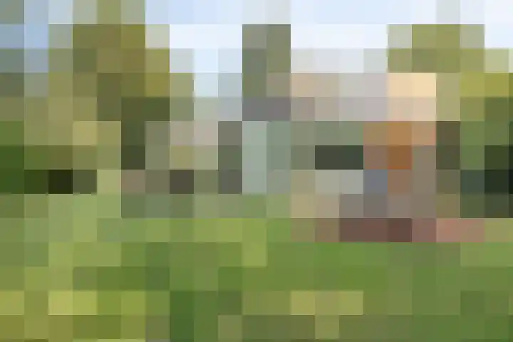 Joseph Bech-Nes 14 Bergen (NH) thumbnail 60