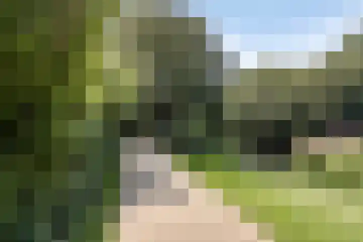 Joseph Bech-Nes 14 Bergen (NH) thumbnail 64