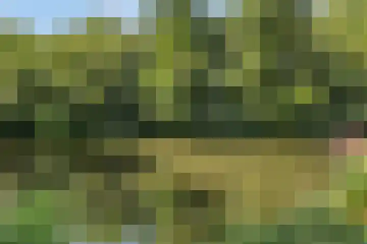 Joseph Bech-Nes 14 Bergen (NH) thumbnail 65