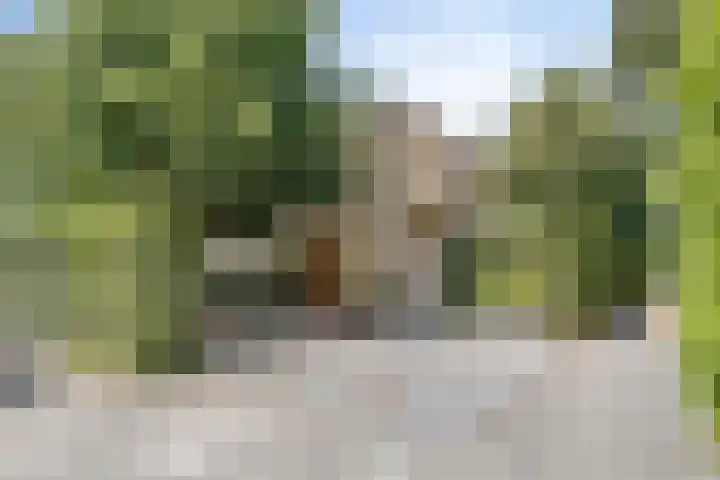 Joseph Bech-Nes 14 Bergen (NH) thumbnail 66