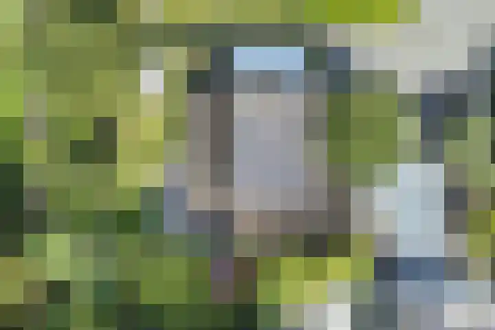 Joseph Bech-Nes 14 Bergen (NH) thumbnail 68