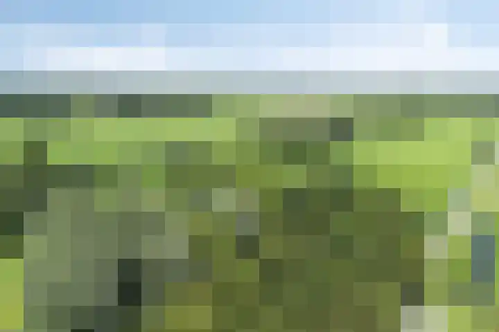 Joseph Bech-Nes 14 Bergen (NH) thumbnail 69