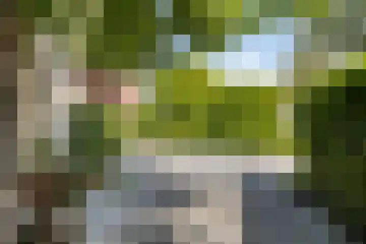 Joseph Bech-Nes 14 Bergen (NH) thumbnail 7