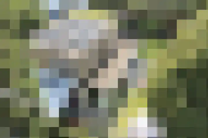 Joseph Bech-Nes 14 Bergen (NH) thumbnail 70