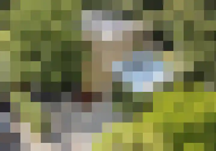 Joseph Bech-Nes 14 Bergen (NH) thumbnail 72