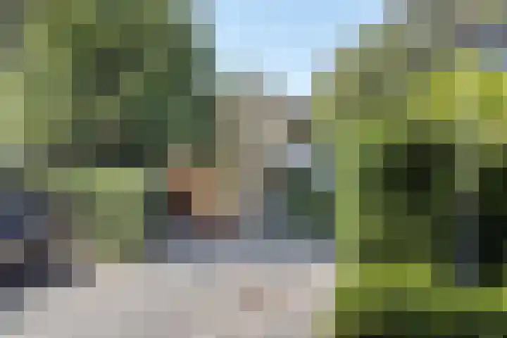 Joseph Bech-Nes 14 Bergen (NH) thumbnail 77