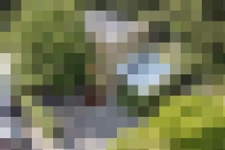 Joseph Bech-Nes 14 Bergen (NH) thumbnail 79