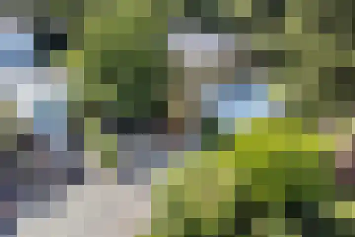 Joseph Bech-Nes 14 Bergen (NH) thumbnail 80