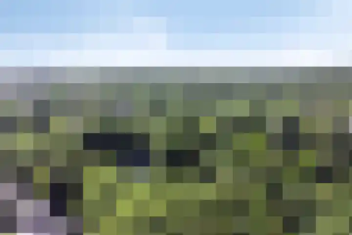 Joseph Bech-Nes 14 Bergen (NH) thumbnail 81