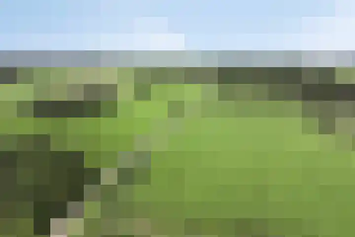 Joseph Bech-Nes 14 Bergen (NH) thumbnail 82