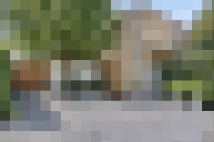 Joseph Bech-Nes 14 Bergen (NH) thumbnail 87