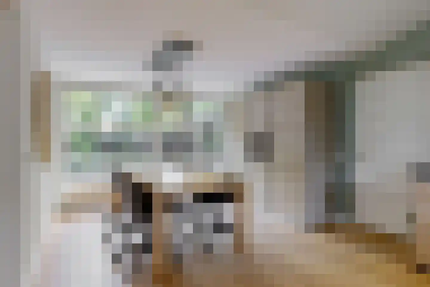 Joseph Bech-Nes 20 Bergen (NH) thumbnail 19