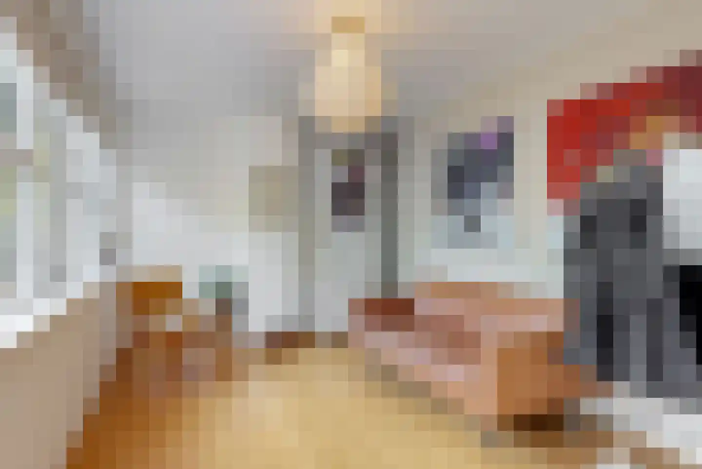 Joseph Bech-Nes 20 Bergen (NH) thumbnail 30
