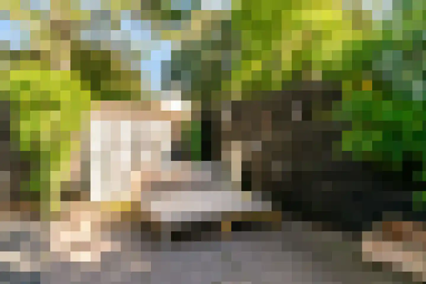 Joseph Bech-Nes 20 Bergen (NH) thumbnail 40