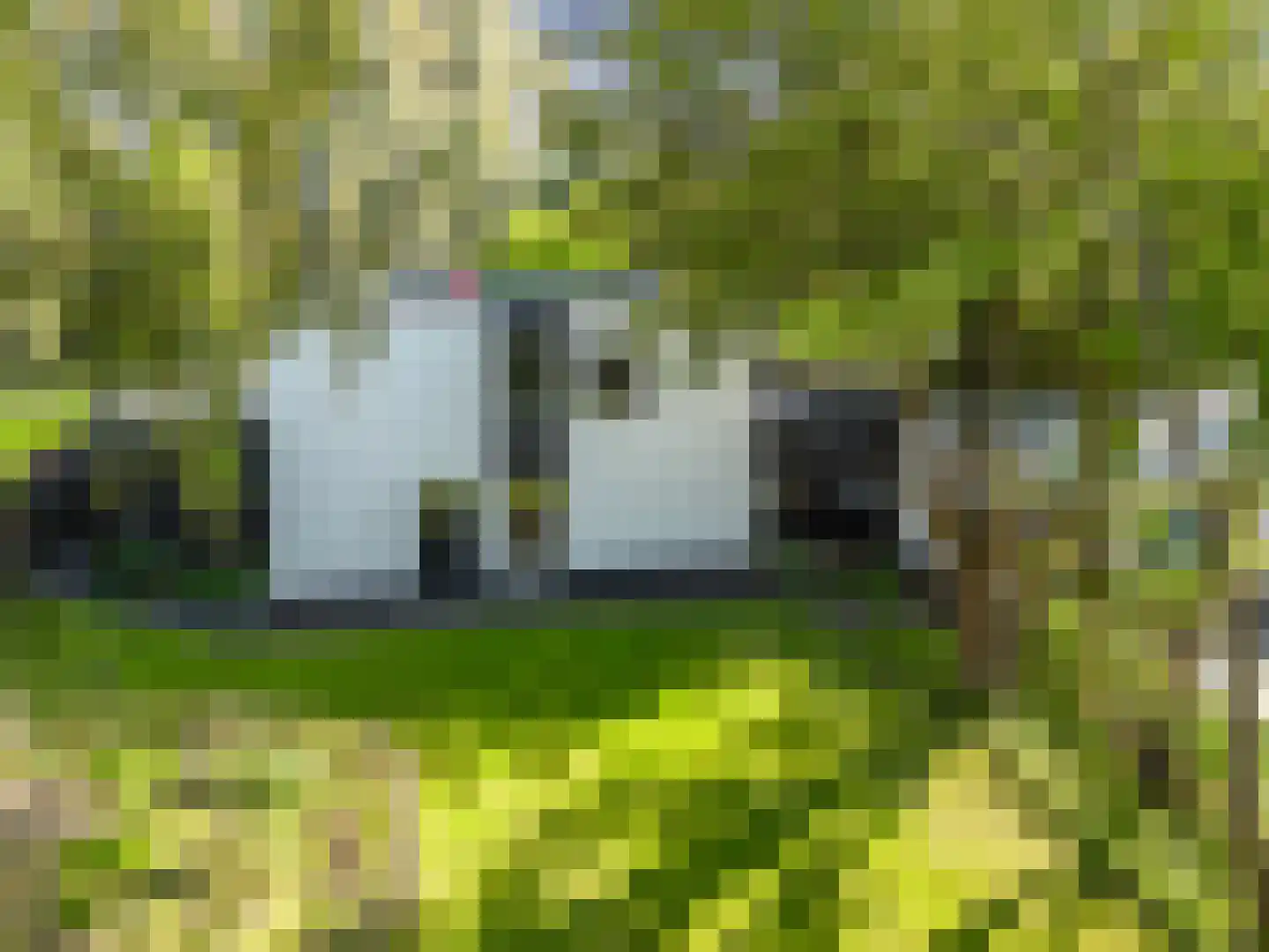Joseph Bech-Nes 20 Bergen (NH) thumbnail 5
