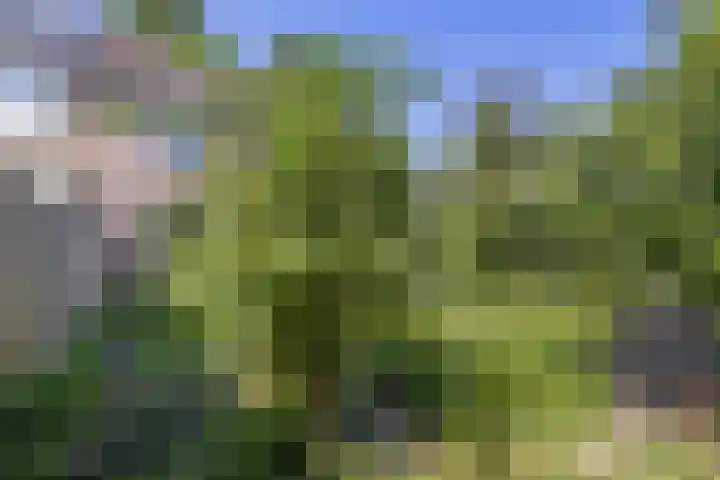 Joseph Bechstraat 23 Zevenaar thumbnail 32