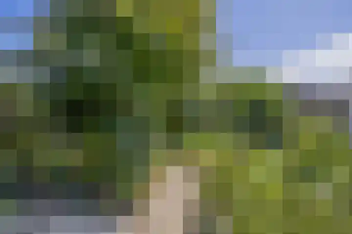 Joseph Bechstraat 23 Zevenaar thumbnail 38