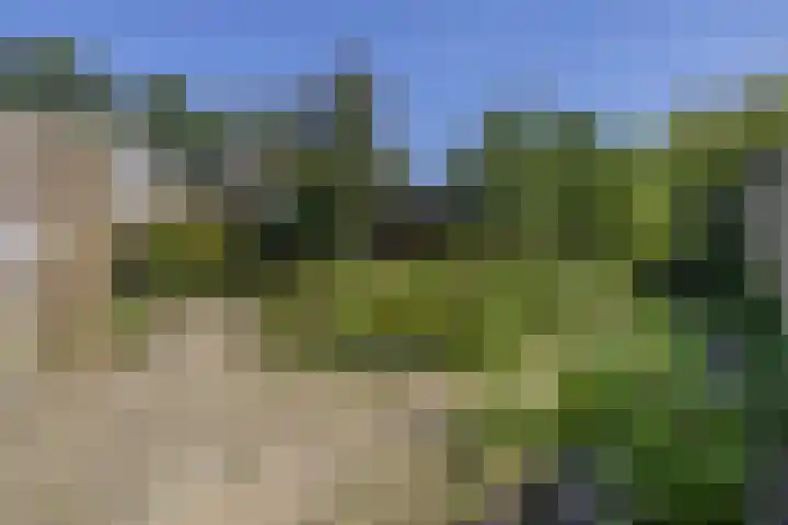 Joseph Bechstraat 23 Zevenaar thumbnail 39