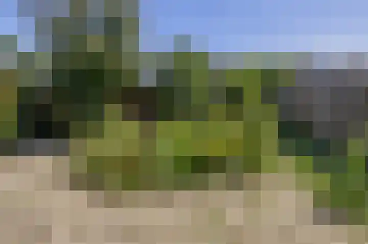 Joseph Bechstraat 23 Zevenaar thumbnail 41