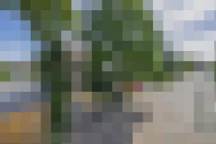 Joseph Bechstraat 23 Zevenaar thumbnail 54