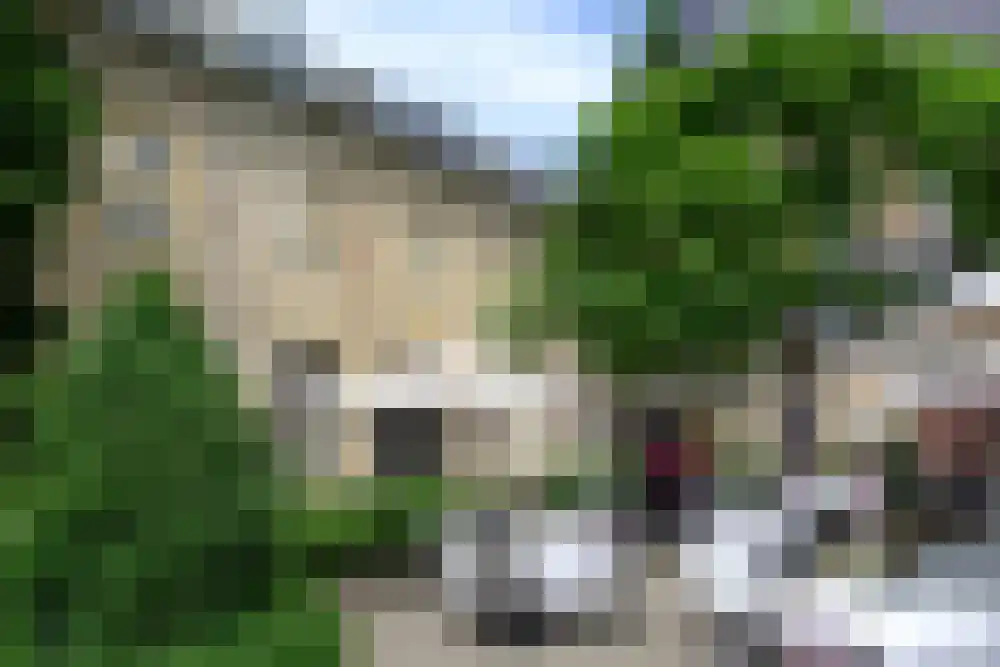 Joseph Corneli Allée 410 Valkenburg thumbnail 21