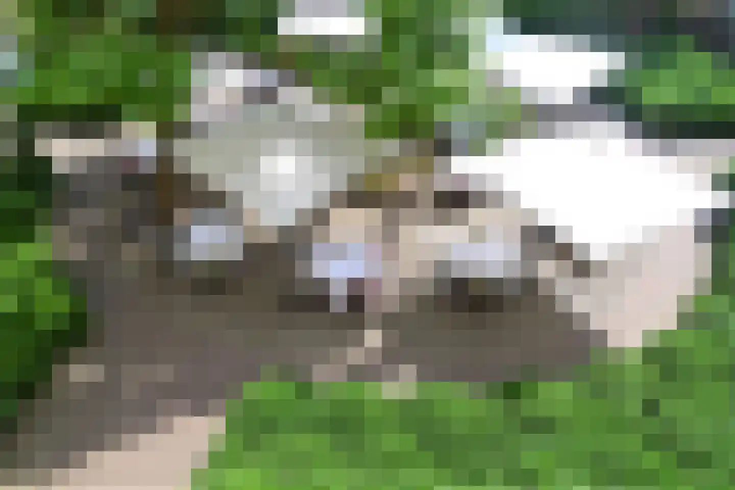 Joseph Corneli Allée 410 Valkenburg thumbnail 23