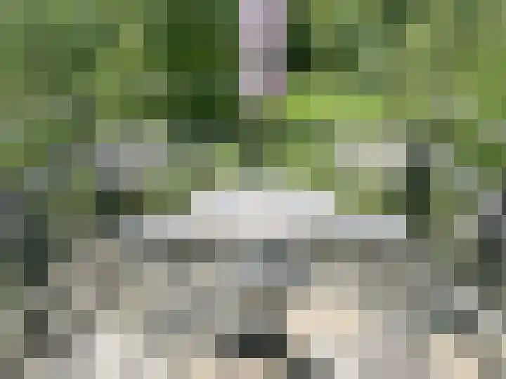 Joseph Corneli Allée 532 Valkenburg thumbnail 9