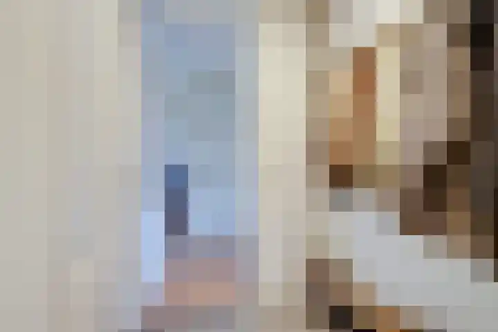 Joseph Coymansweg 1 Middenbeemster thumbnail 12