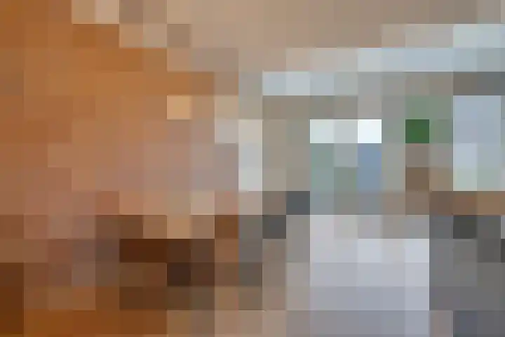Joseph Coymansweg 1 Middenbeemster thumbnail 20