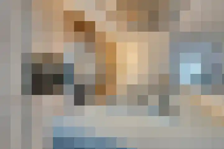Joseph Coymansweg 1 Middenbeemster thumbnail 26