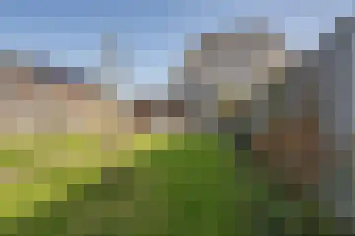 Joseph Coymansweg 1 Middenbeemster thumbnail 33