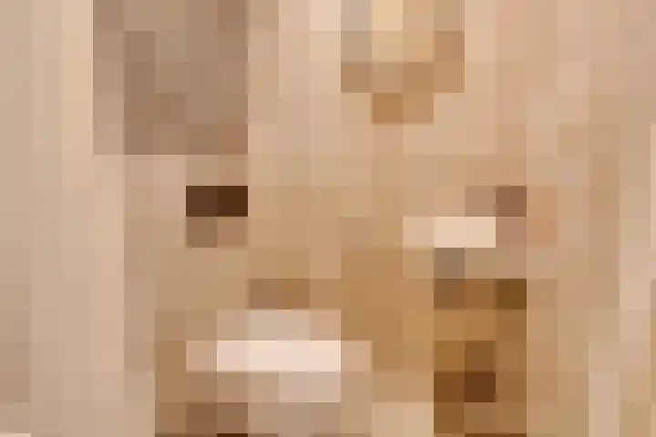 Joseph Coymansweg 1 Middenbeemster thumbnail 34
