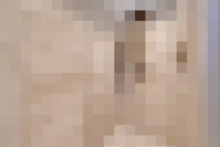 Joseph Coymansweg 1 Middenbeemster thumbnail 46
