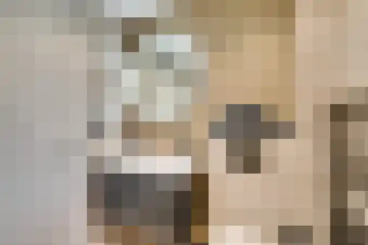 Joseph Coymansweg 1 Middenbeemster thumbnail 47