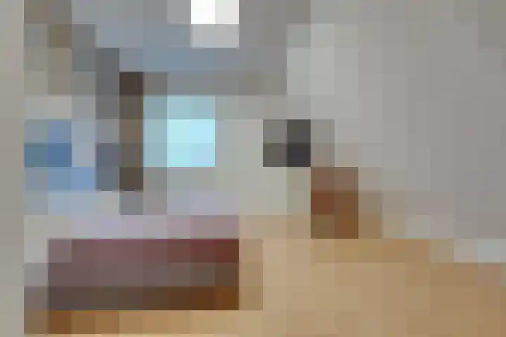 Joseph Coymansweg 1 Middenbeemster thumbnail 49