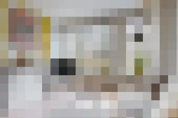 Joseph Haydnlaan 12 1 Utrecht thumbnail 12