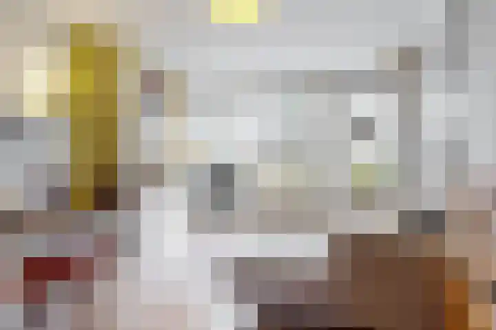 Joseph Haydnlaan 12 1 Utrecht thumbnail 13
