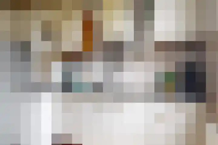 Joseph Haydnlaan 12 1 Utrecht thumbnail 15