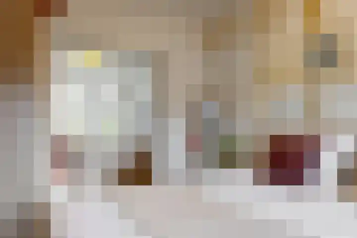 Joseph Haydnlaan 12 1 Utrecht thumbnail 18
