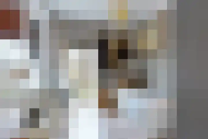 Joseph Haydnlaan 12 1 Utrecht thumbnail 19