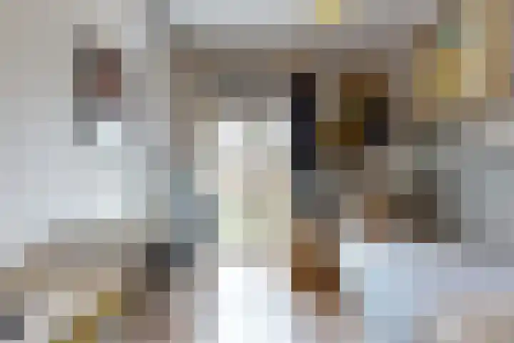 Joseph Haydnlaan 12 1 Utrecht thumbnail 20
