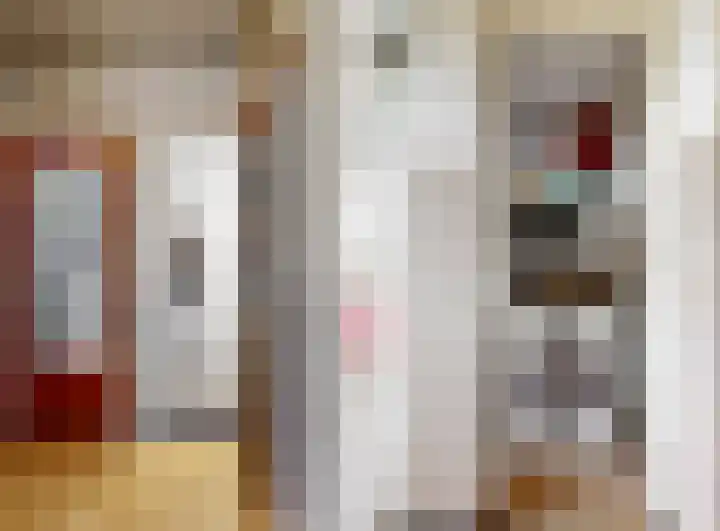 Joseph Haydnlaan 12 1 Utrecht thumbnail 22