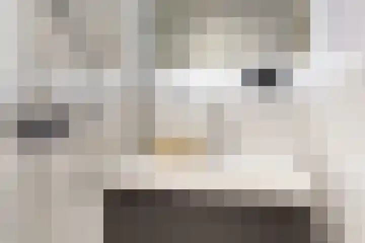 Joseph Haydnlaan 12 1 Utrecht thumbnail 24