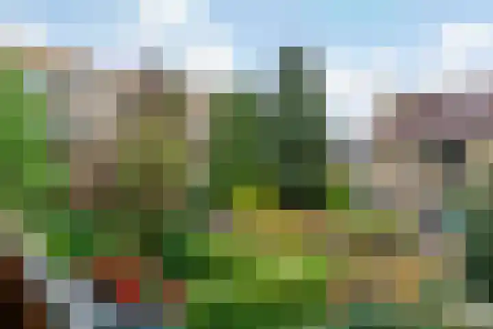 Joseph Haydnlaan 12 1 Utrecht thumbnail 27