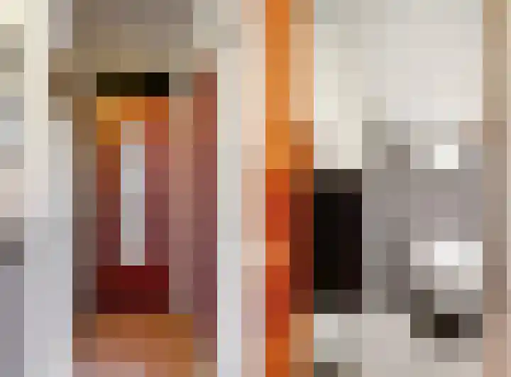 Joseph Haydnlaan 12 1 Utrecht thumbnail 8
