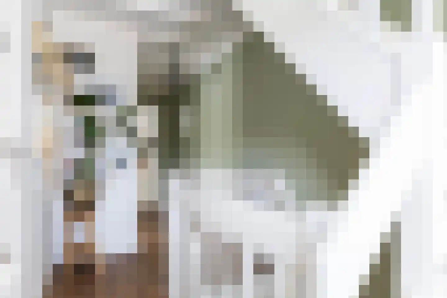 Joseph Haydnlaan 2 Apeldoorn thumbnail 17
