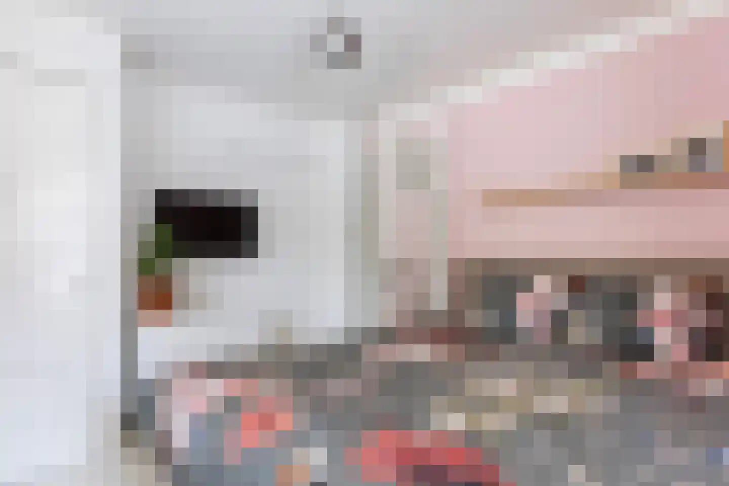 Joseph Haydnlaan 2 Apeldoorn thumbnail 23