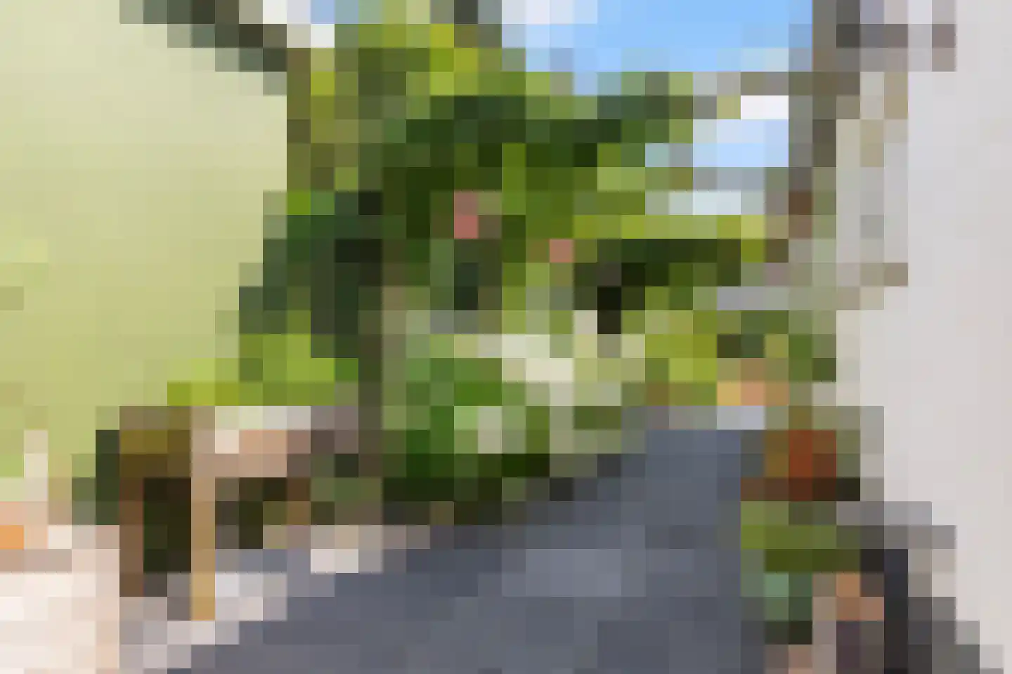 Joseph Haydnlaan 2 Apeldoorn thumbnail 32