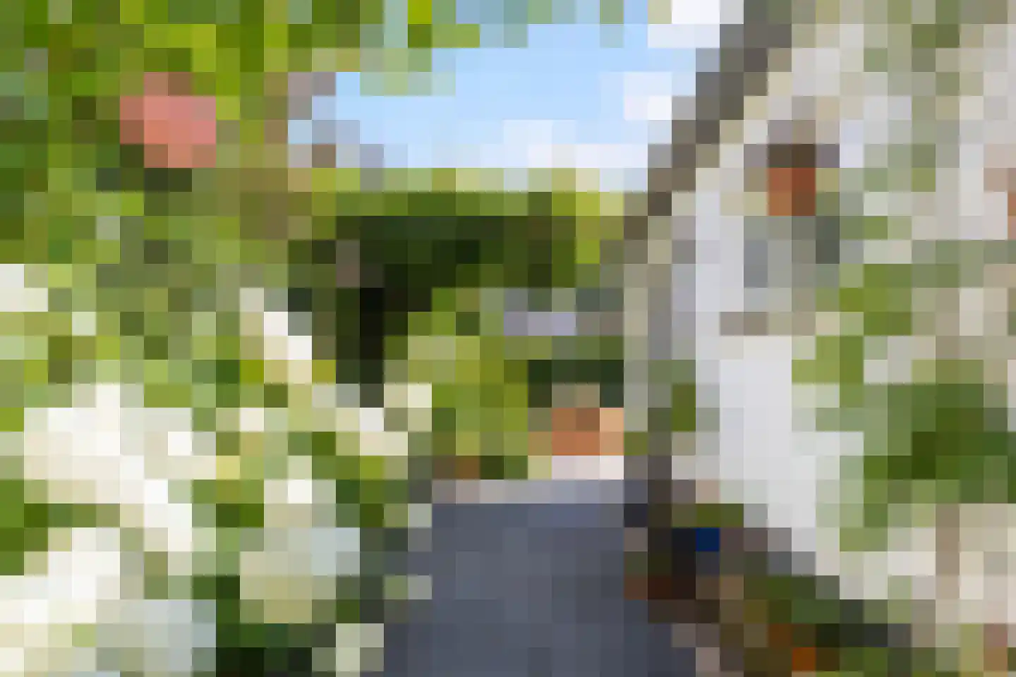 Joseph Haydnlaan 2 Apeldoorn thumbnail 33